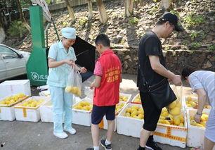 娱乐吃瓜酱贫困户